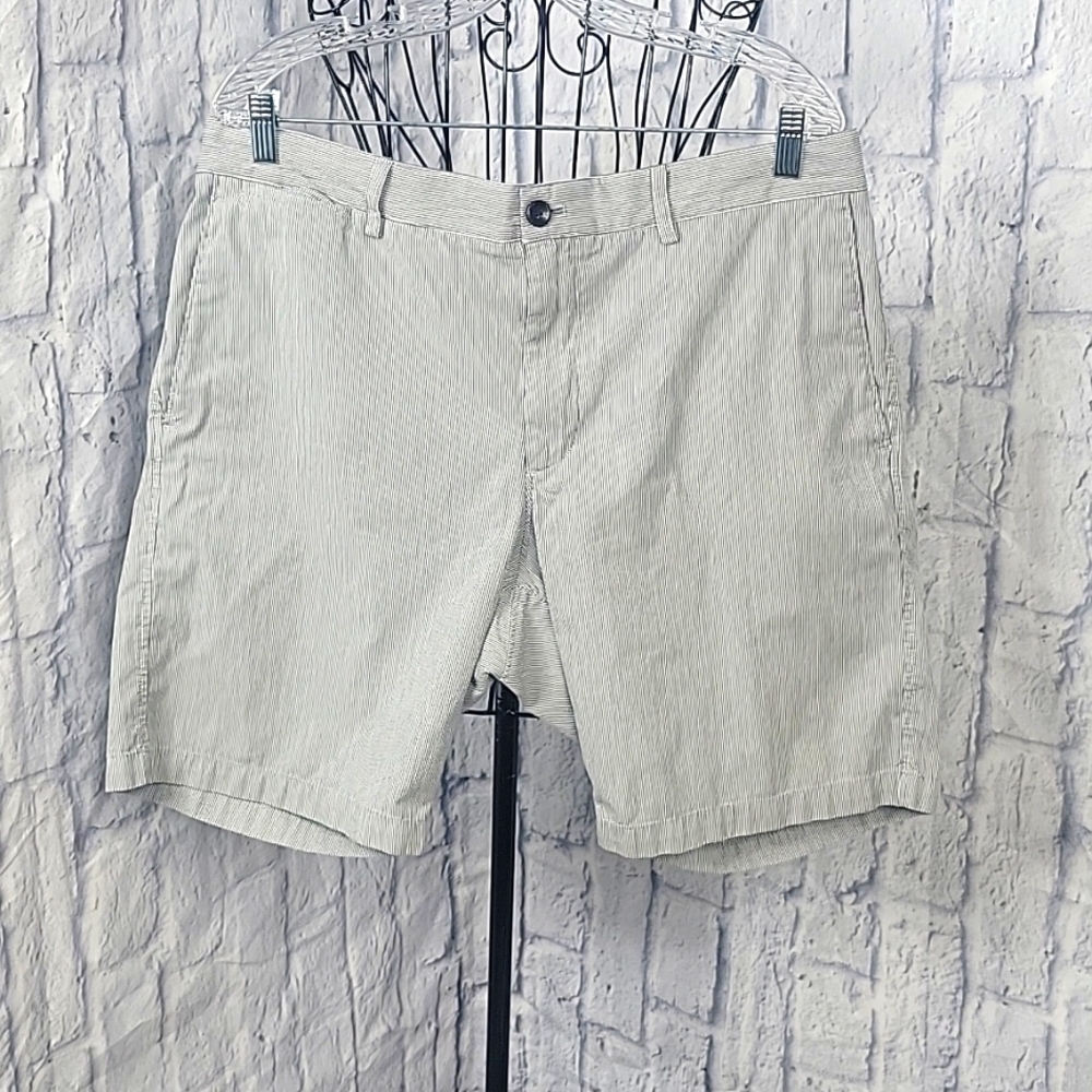 BANANA REPUBLIC Blue and White Pinstriped Men's Shorts Size 36